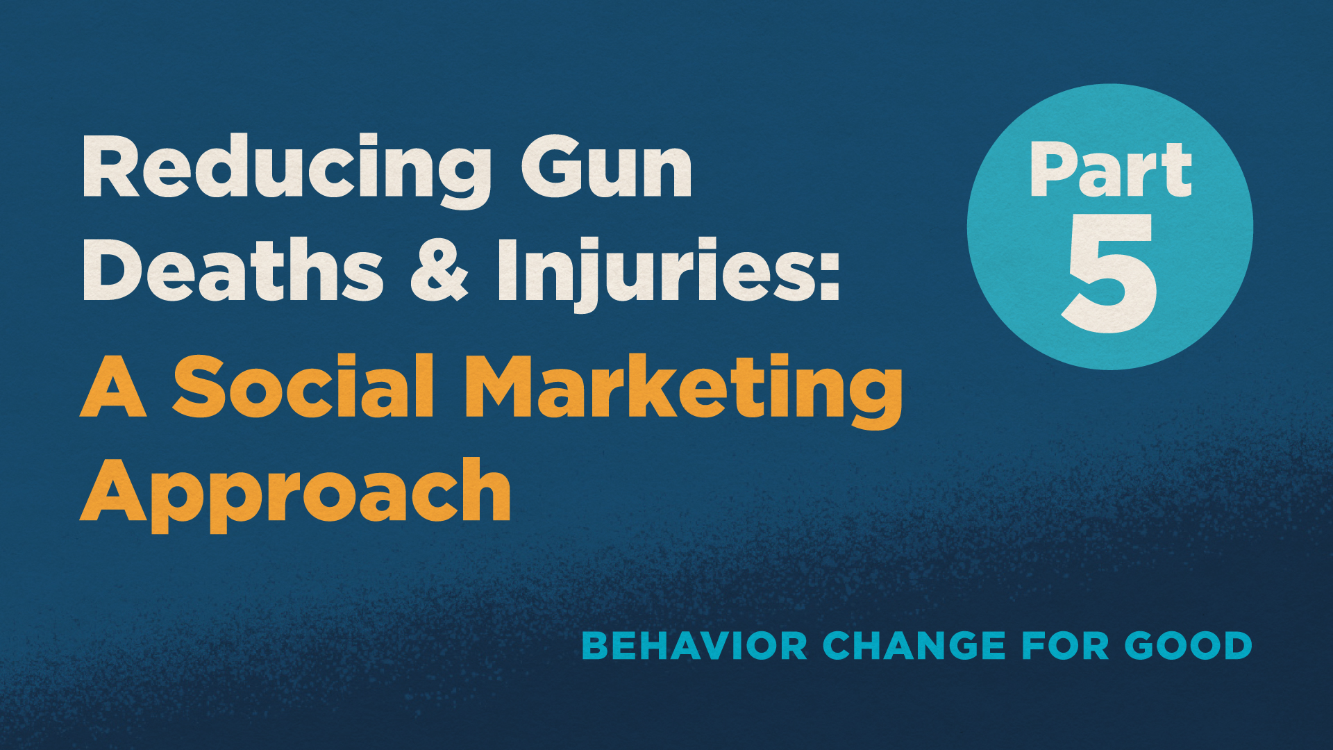 What Can Be Done to Reduce Gun Deaths & Injuries Using a Social Equity Lens?