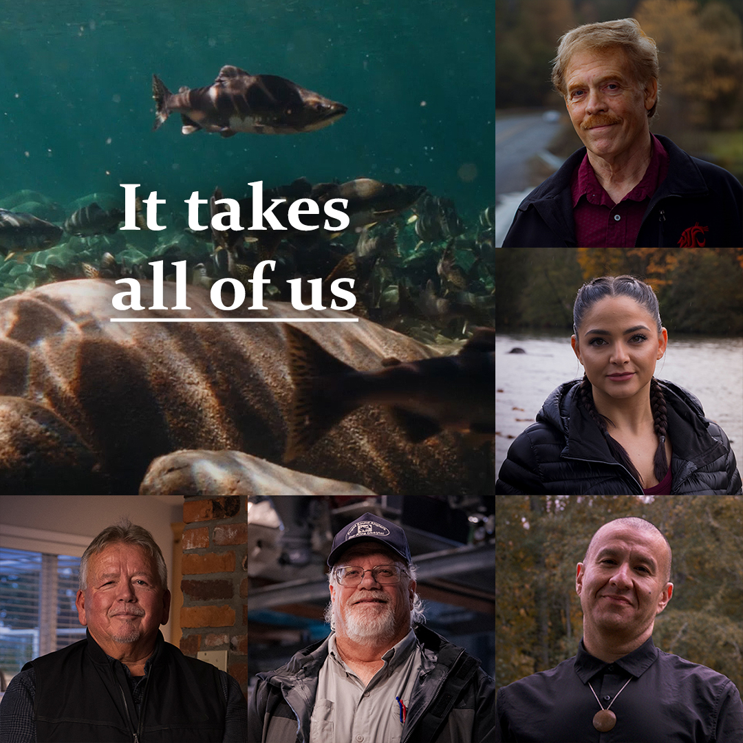 An image with of four people featured in the Salmon Warriors campaign video and an underwater shot of Pacific Northwest salmon swimming in a river. Text on the image says 'It takes all of us.'