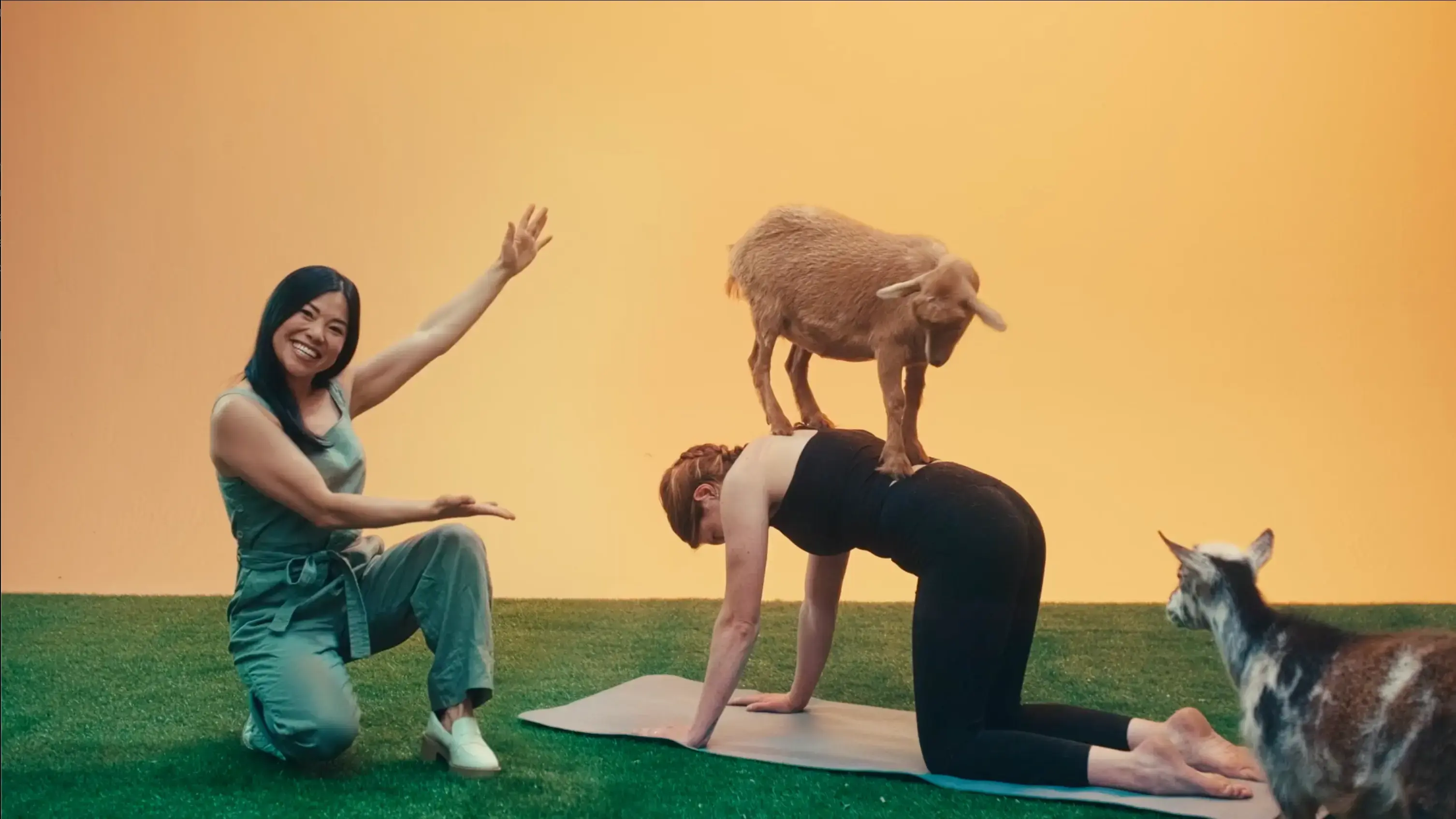 People practicing yoga outdoors